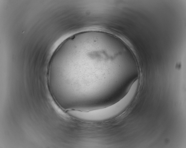 X0000112751438200909101529