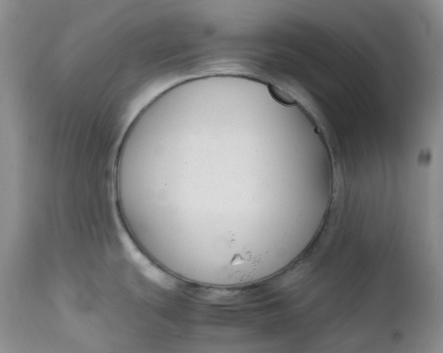 X0000112751439200909101529