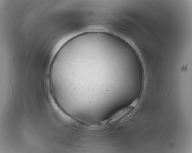 X0000112751440200909101529