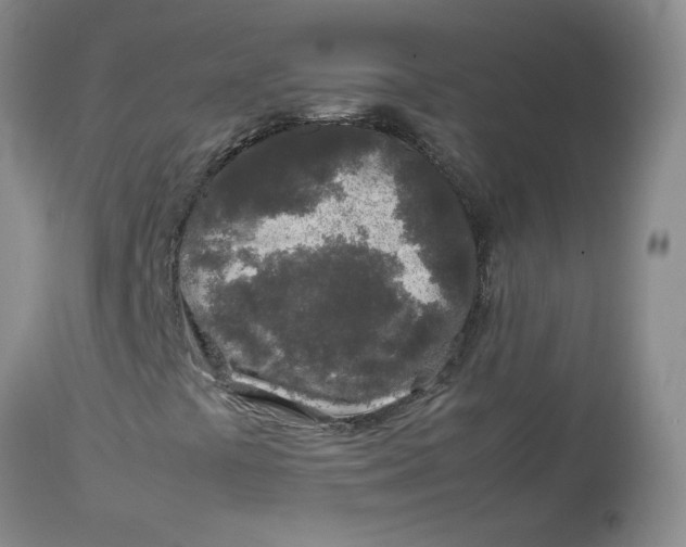 X0000112751441200909101529