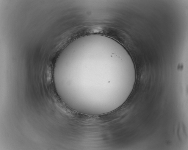 X0000112751442200909101529