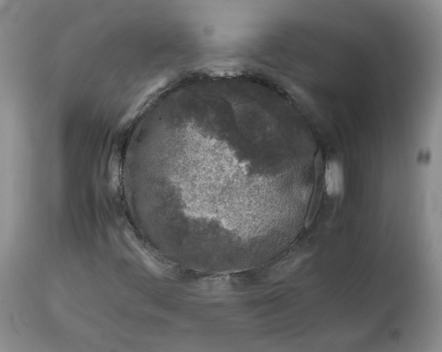 X0000112751444200909101529