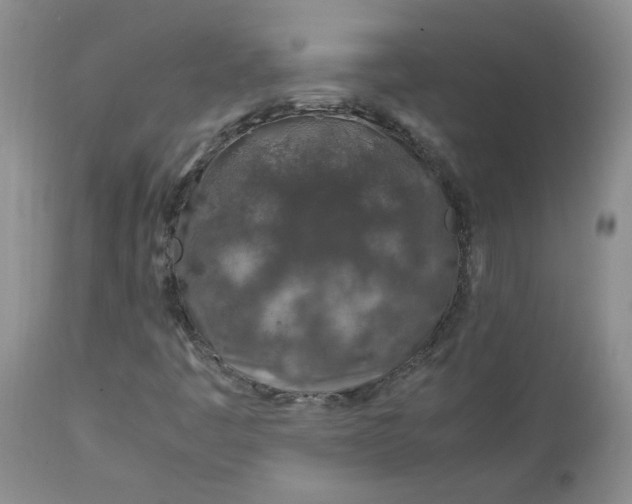 X0000112751445200909101529