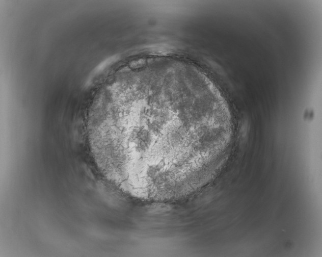 X0000112751446200909101529