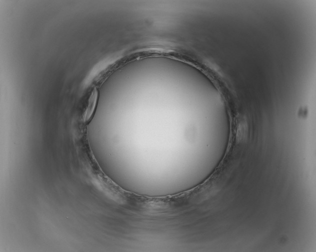 X0000112751448200909101528