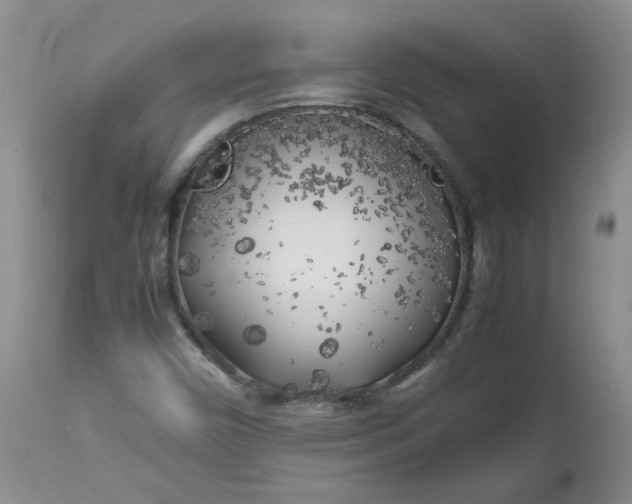 X0000112751450200909101528