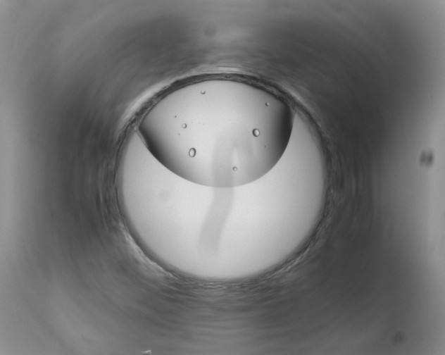 X0000112751452200909101528