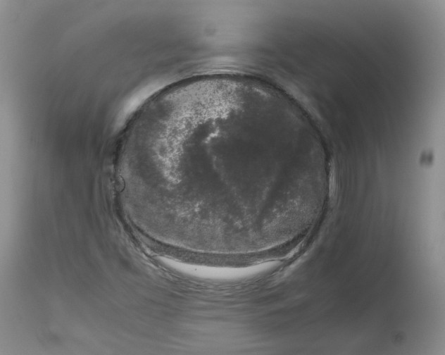 X0000112751453200909101528