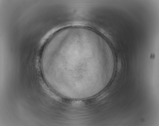 X0000112751454200909101528