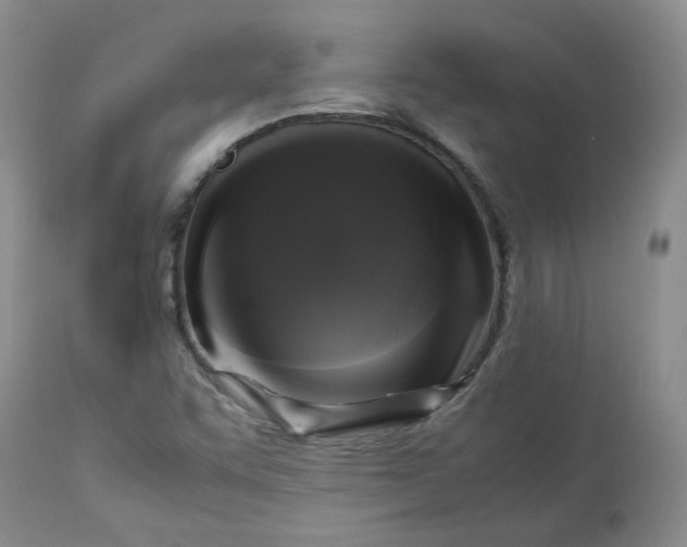 X0000112751455200909101528