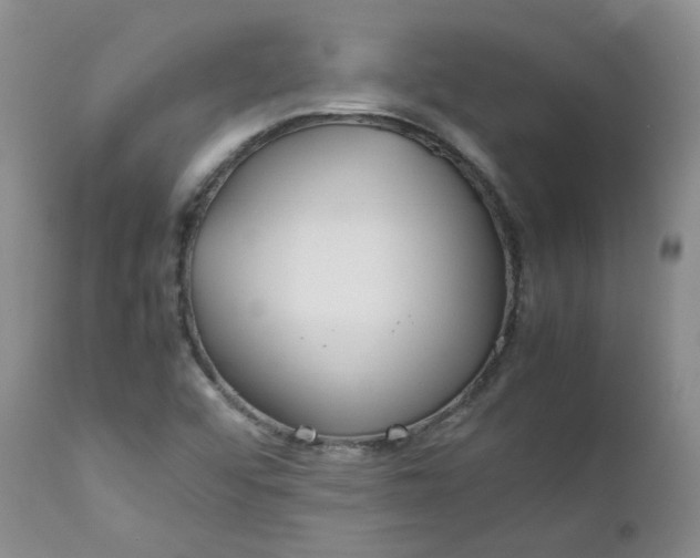 X0000112751456200909101528