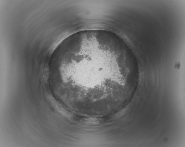 X0000112751457200909101528