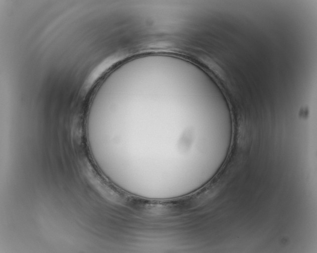 X0000112751458200909101528