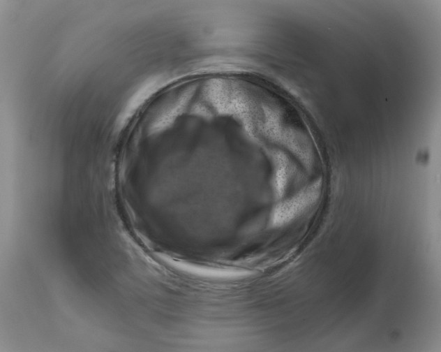 X0000112751459200909101528