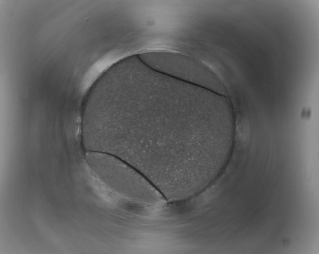 X0000112751461200909101528