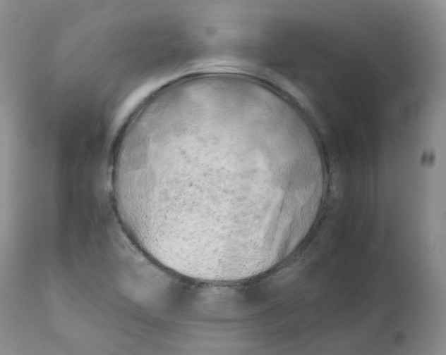 X0000112751462200909101528