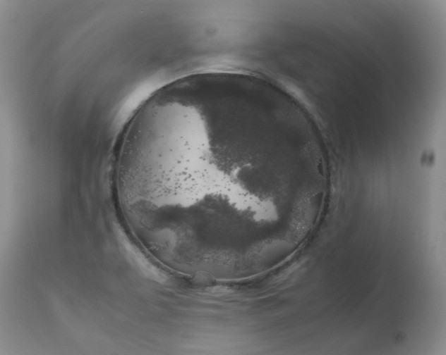 X0000112751463200909101528