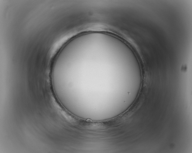 X0000112751464200909101528