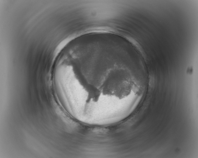 X0000112751466200909101528