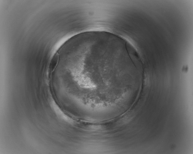 X0000112751468200909101528