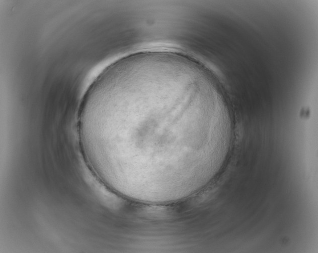 X0000112751470200909101528