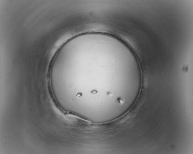 X0000112751471200909101528