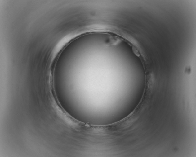 X0000112751472200909101528