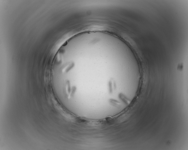 X0000112751473200909101528