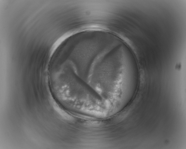 X0000112751474200909101528