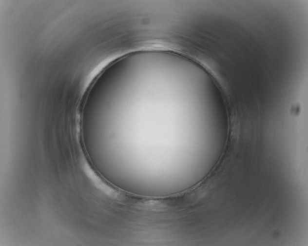 X0000112751476200909101528