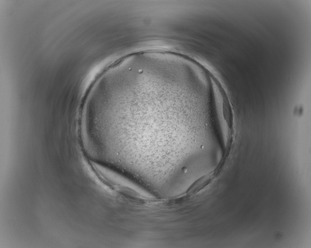 X0000112751477200909101528