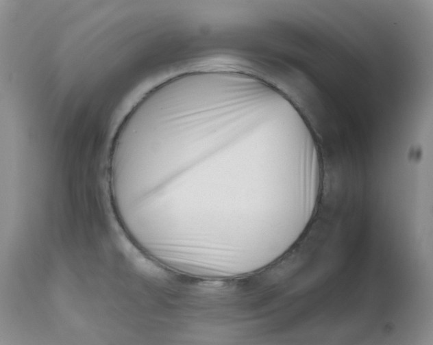 X0000112751478200909101528