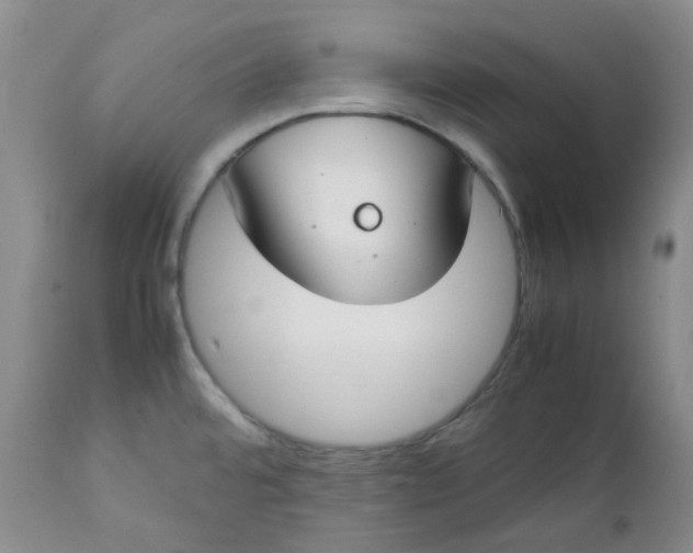 X0000112751480200909101528