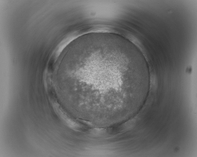 X0000112751481200909101528