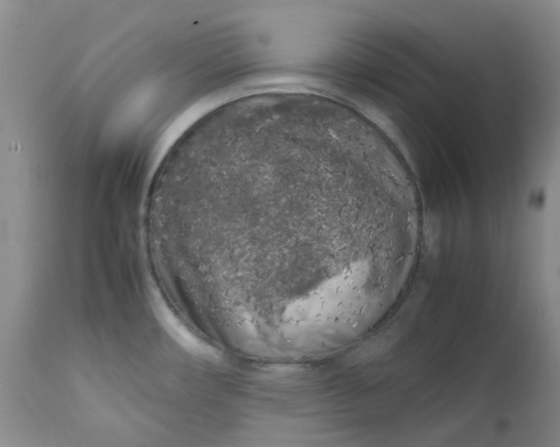 X0000112751482200909101528