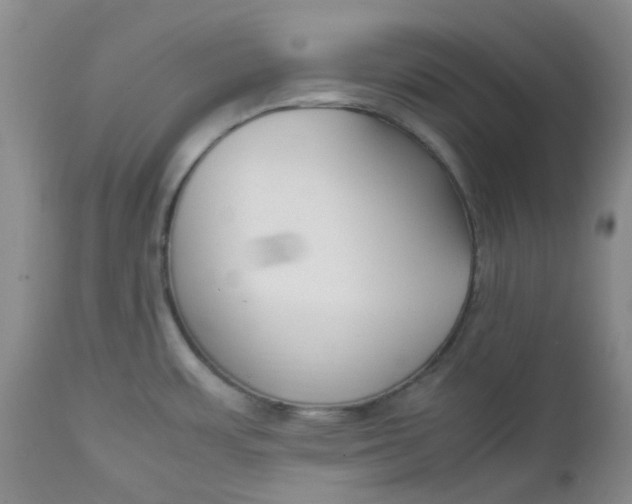 X0000112751483200909101528