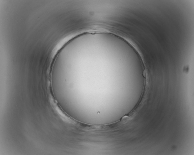 X0000112751485200909101528