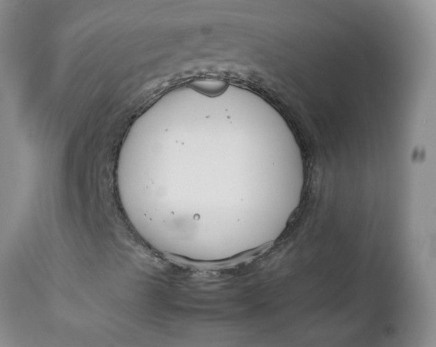 X0000112751489200909101527