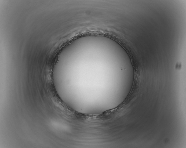 X0000112751490200909101527