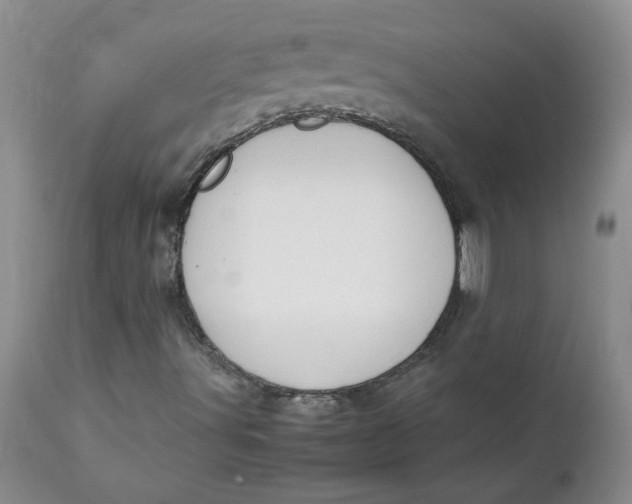 X0000112751491200909101527