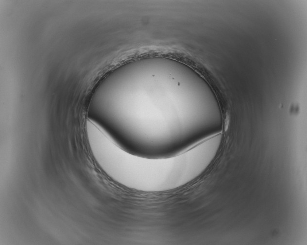 X0000112751492200909101527