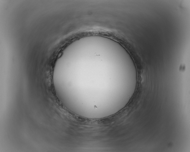 X0000112751493200909101527