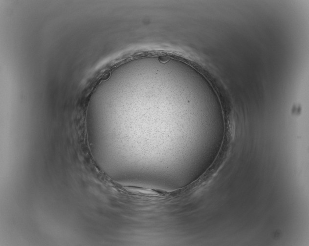 X0000112751494200909101527