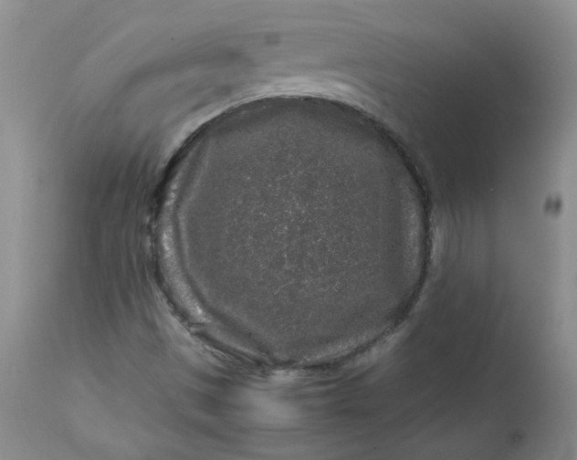 X0000112751497200909101527