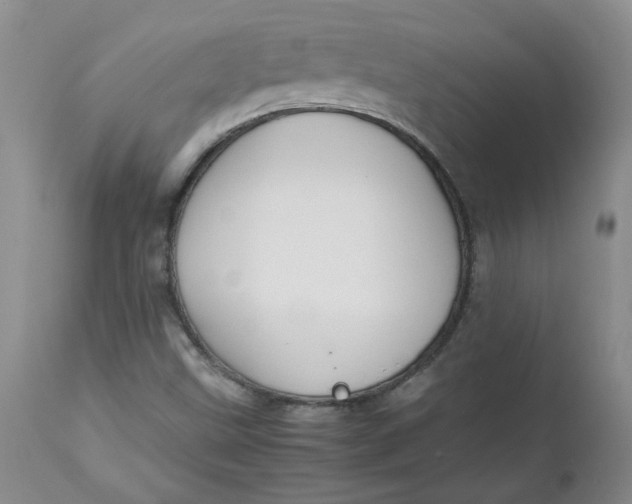 X0000112751499200909101527