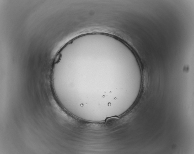 X0000112751500200909101527