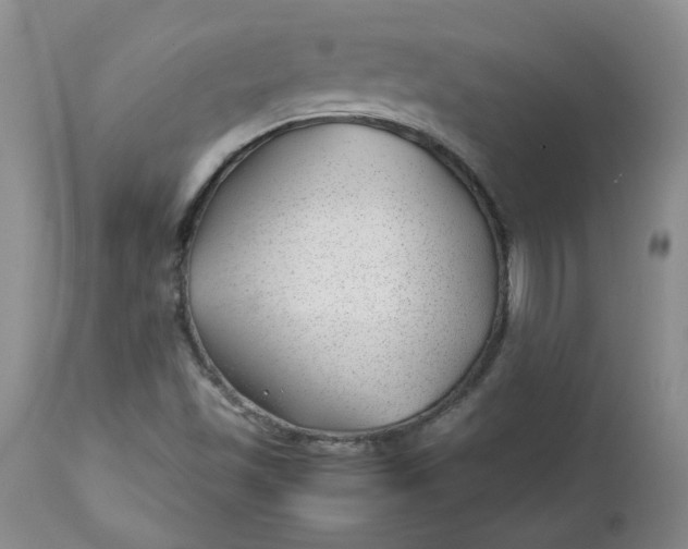 X0000112751501200909101527