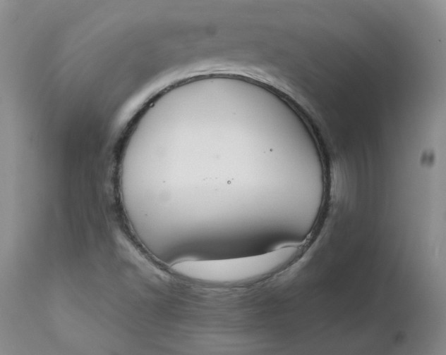 X0000112751502200909101527