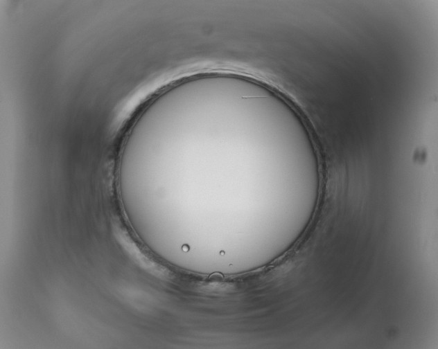 X0000112751503200909101527