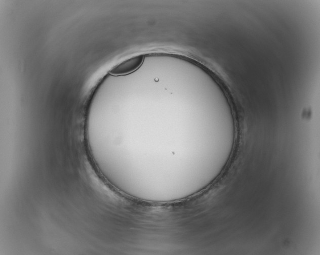 X0000112751504200909101527